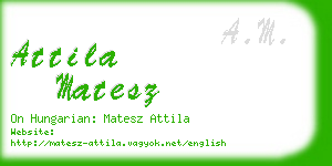 attila matesz business card